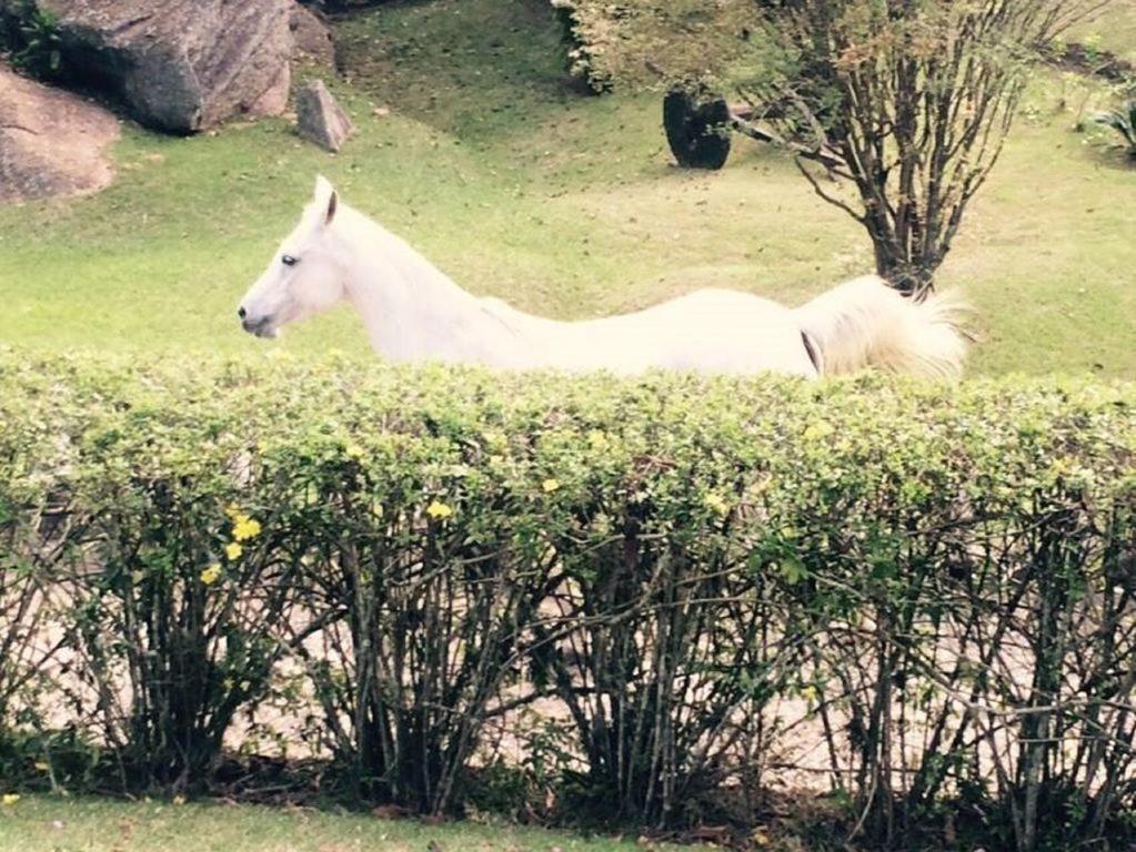 São Roque Fazenda Carpas Douradas 빌라 외부 사진