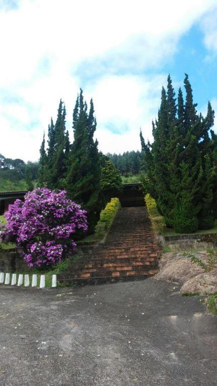 São Roque Fazenda Carpas Douradas 빌라 외부 사진