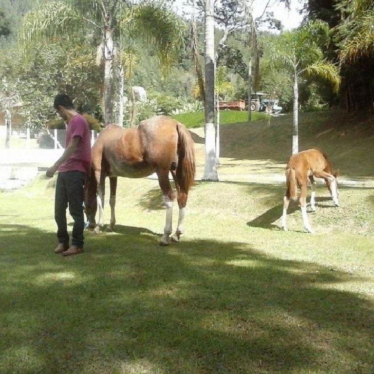 São Roque Fazenda Carpas Douradas 빌라 외부 사진