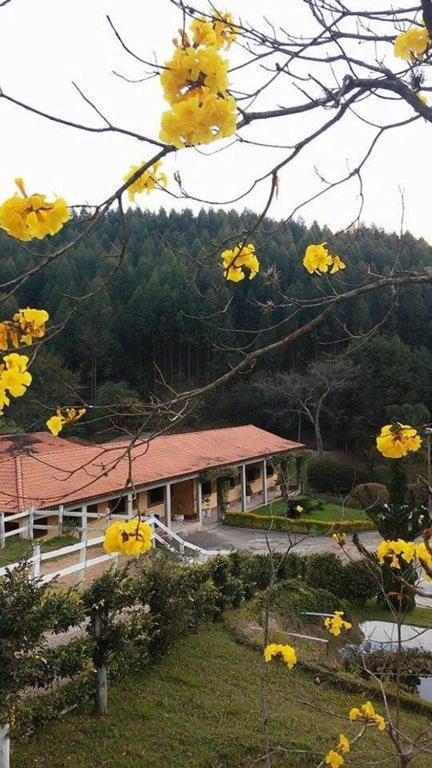 São Roque Fazenda Carpas Douradas 빌라 외부 사진